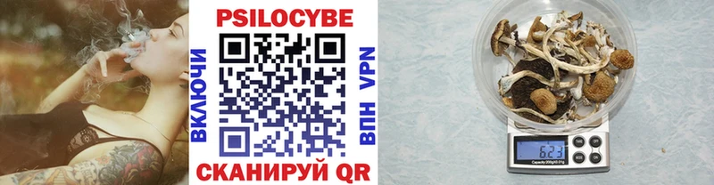 купить наркотик  Славянск-на-Кубани  Псилоцибиновые грибы GOLDEN TEACHER 